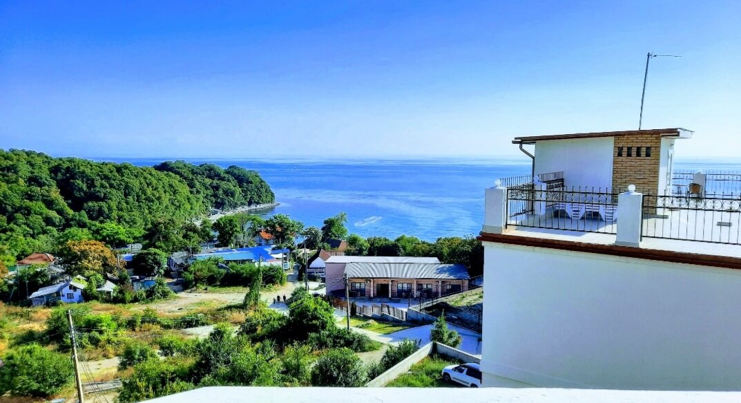 Фото Дельфин