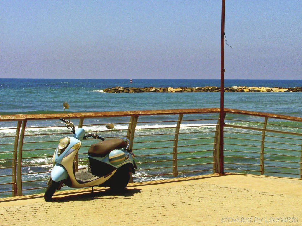 Фото Мелоди