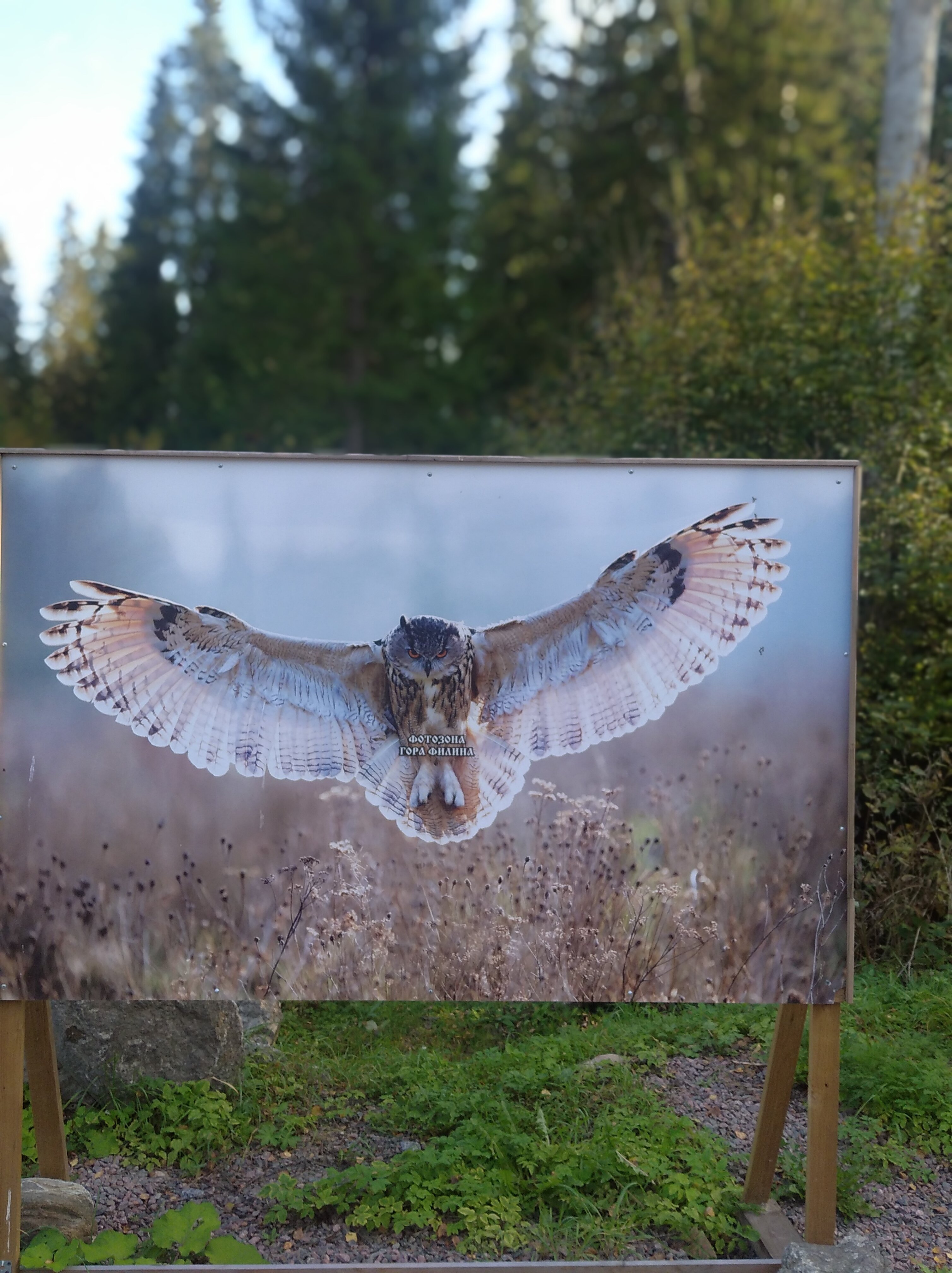 Фото Щучье озеро