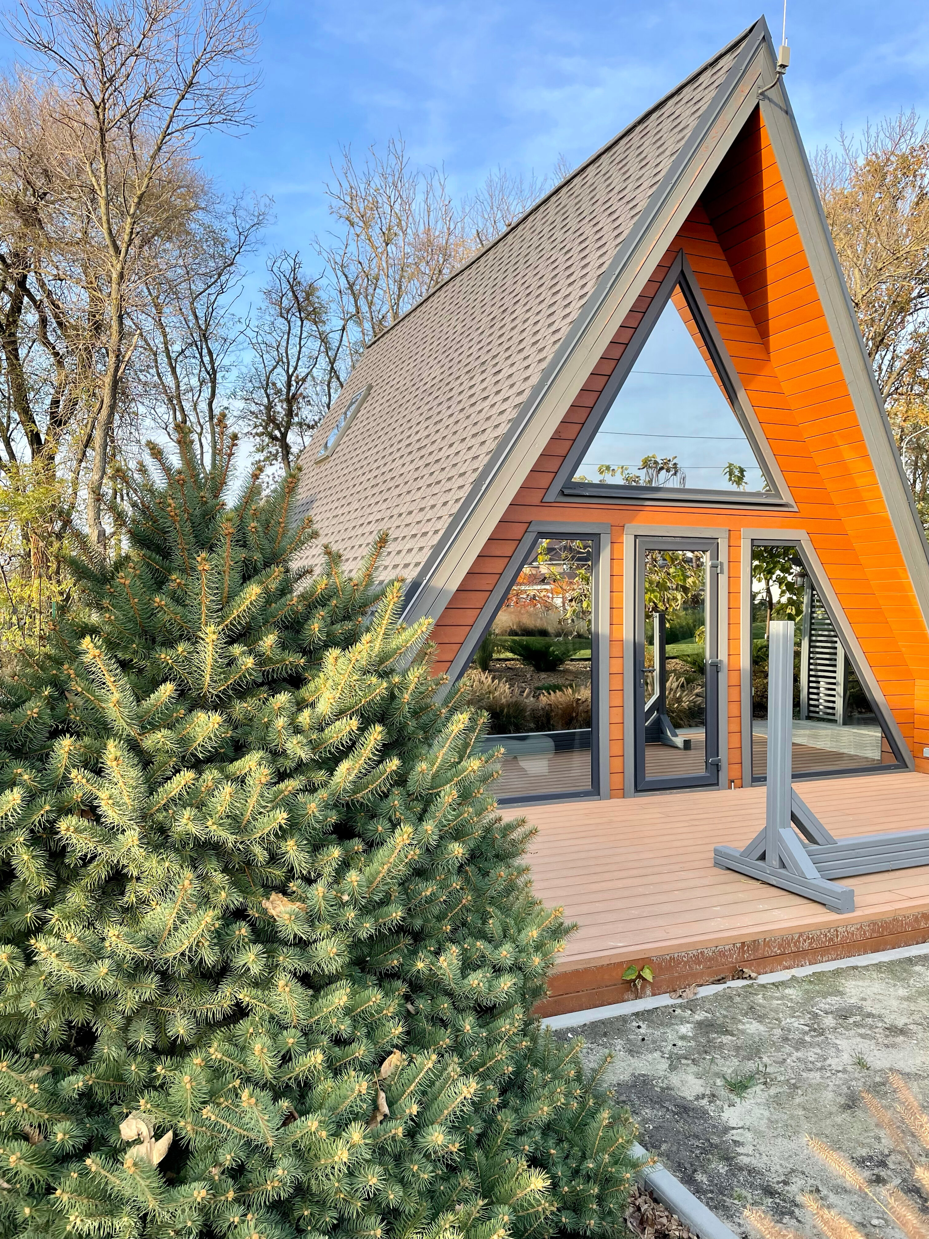 Фото Голден Хорс