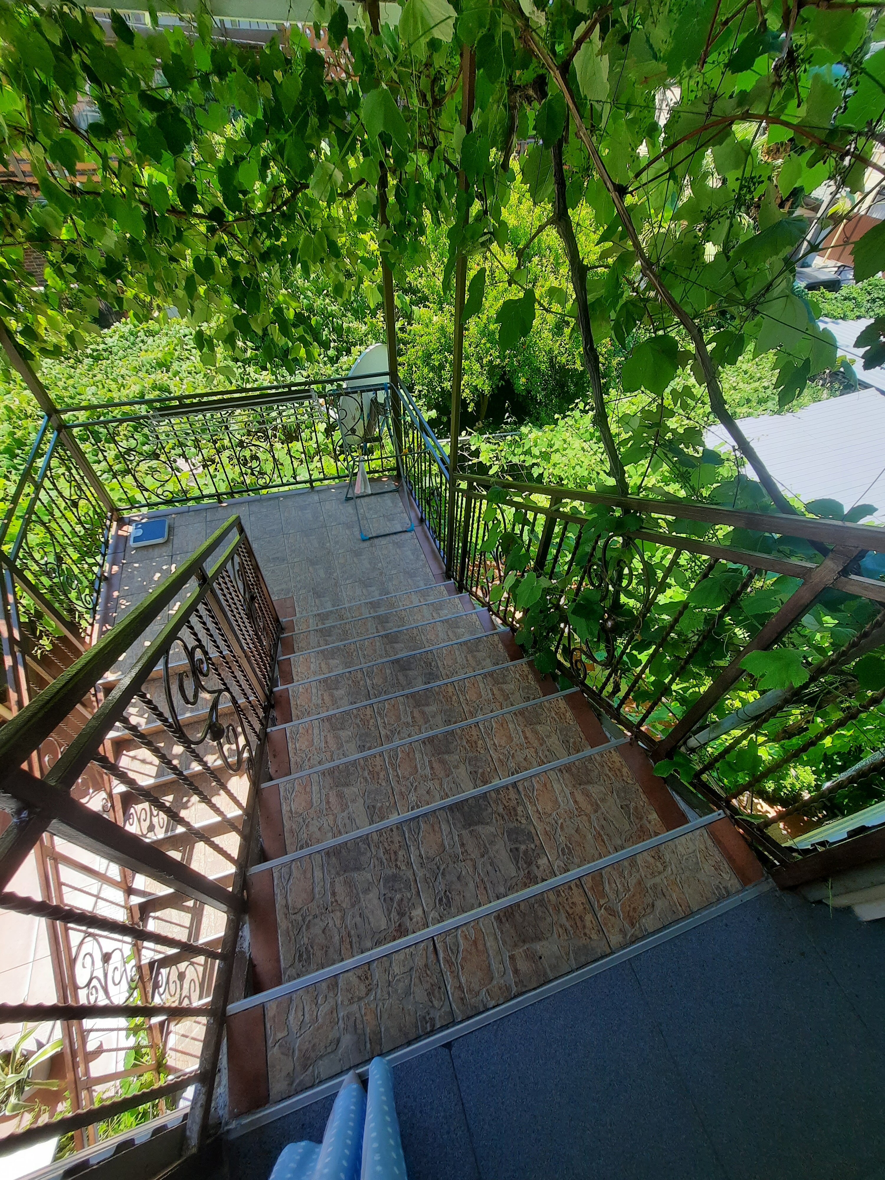 Фото Солоники