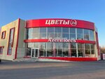 Azeriflores (Pamirskiy proyezd, 3/1), floristeria