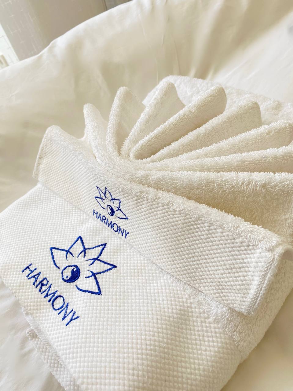 Фото Гармония