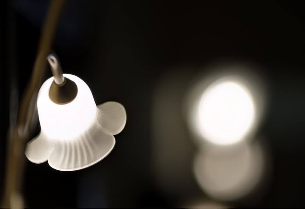 Фото Villa Brescia Hotel