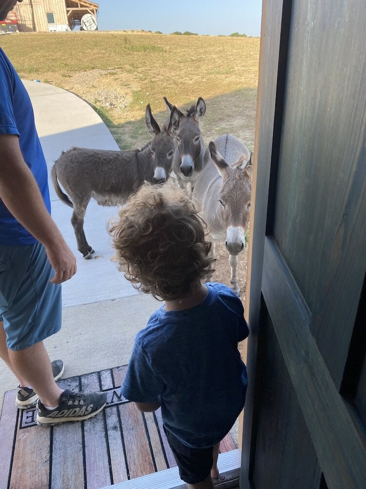 Фото Blue Hills Ranch