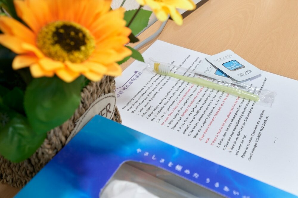 Фото Snowflower Guesthouse