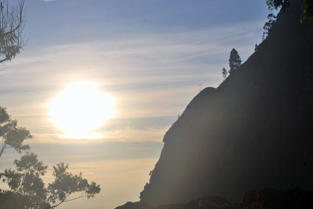 Фото Silver Dome