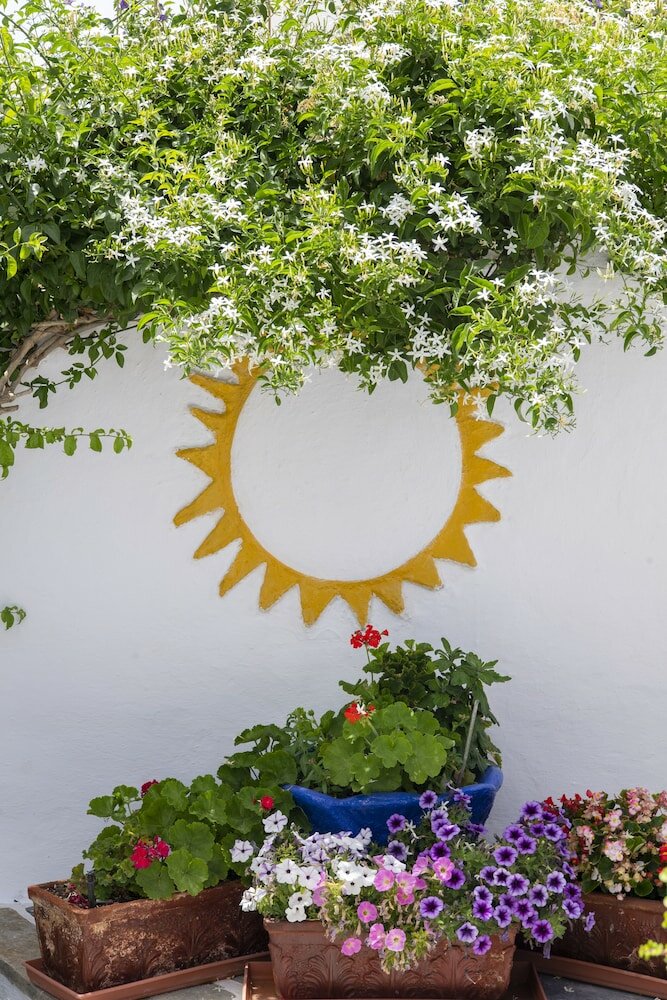 Фото Ricos Two bedroom House - Naoussa Paros