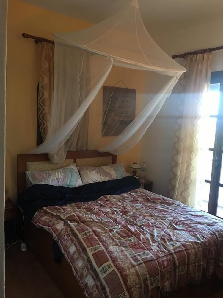 Фото Studios Petra