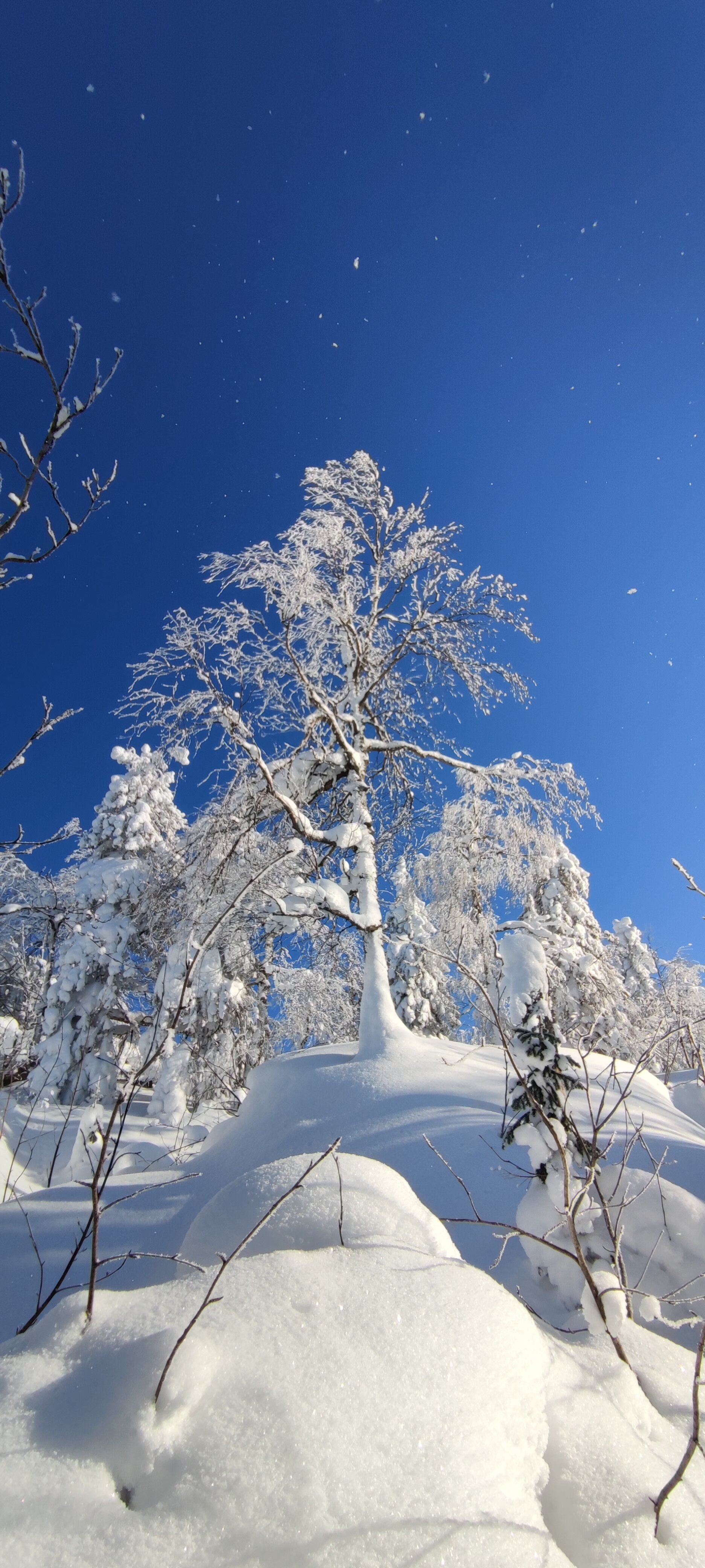 Фото 4 Камня