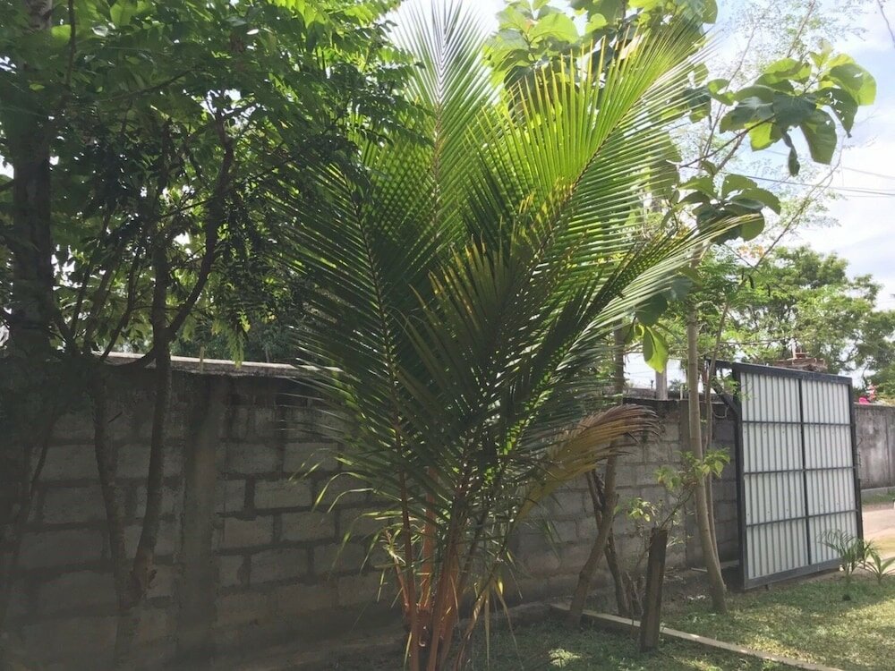 Фото Sri Lanka 01