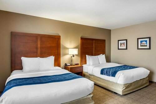 Гостиница Comfort Inn South Chesterfield - Colonial Heights