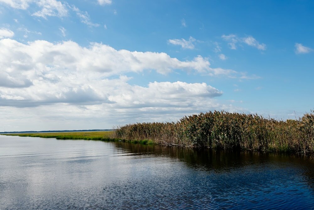 Фото Residence Inn by Marriott Ocean City