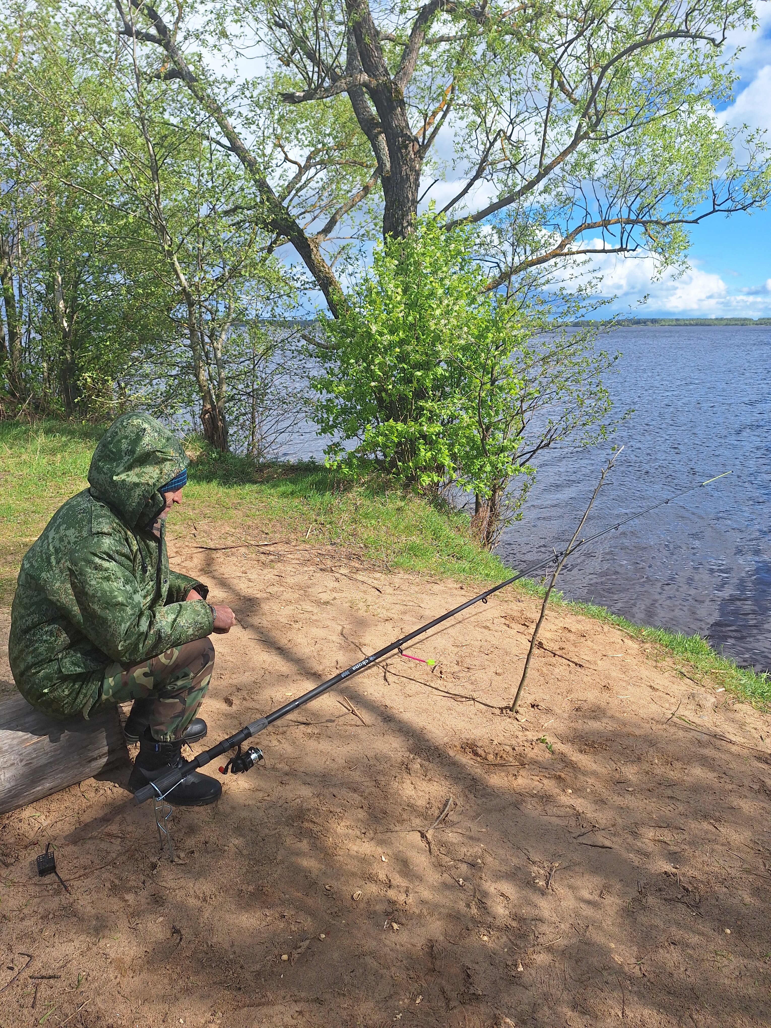 Фото Веточка