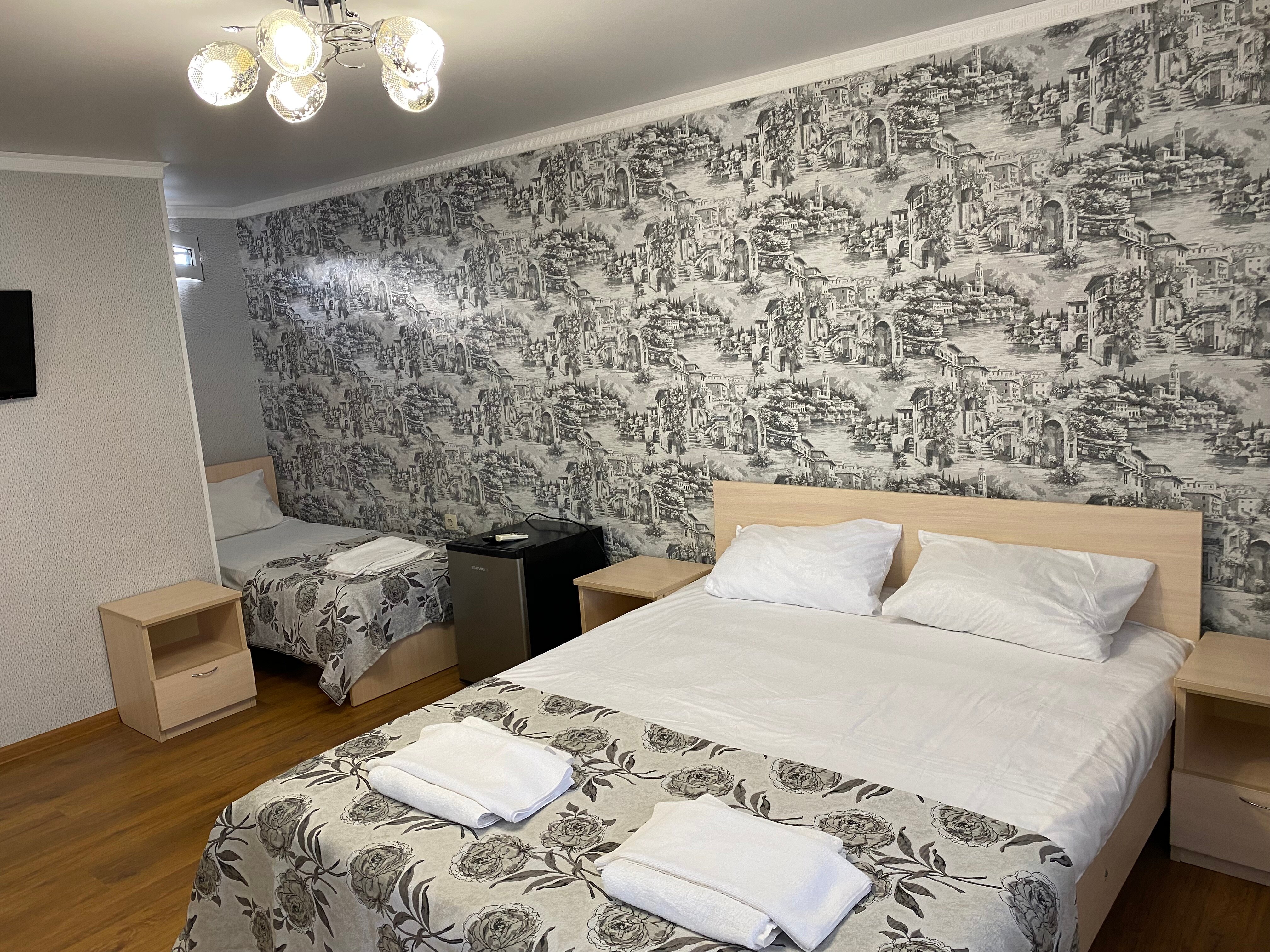 Фото Кипарис