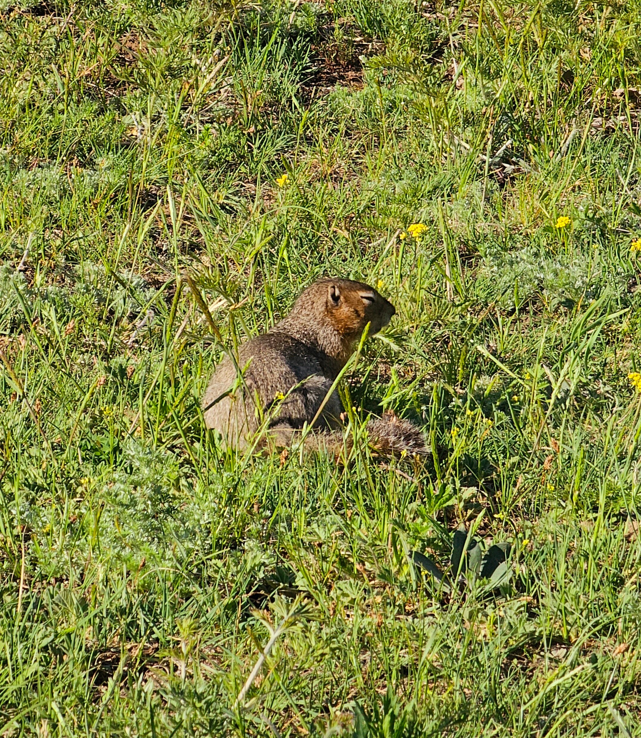 Фото Чемальский каньон