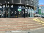 Николаевские двери (Komendantskiy Avenue, 4к2литА) ، الأبواب