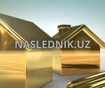 Naslednik.uz (Chilanzar District, Chilanzar Residential Area, 8th Quarter, 1), legal services