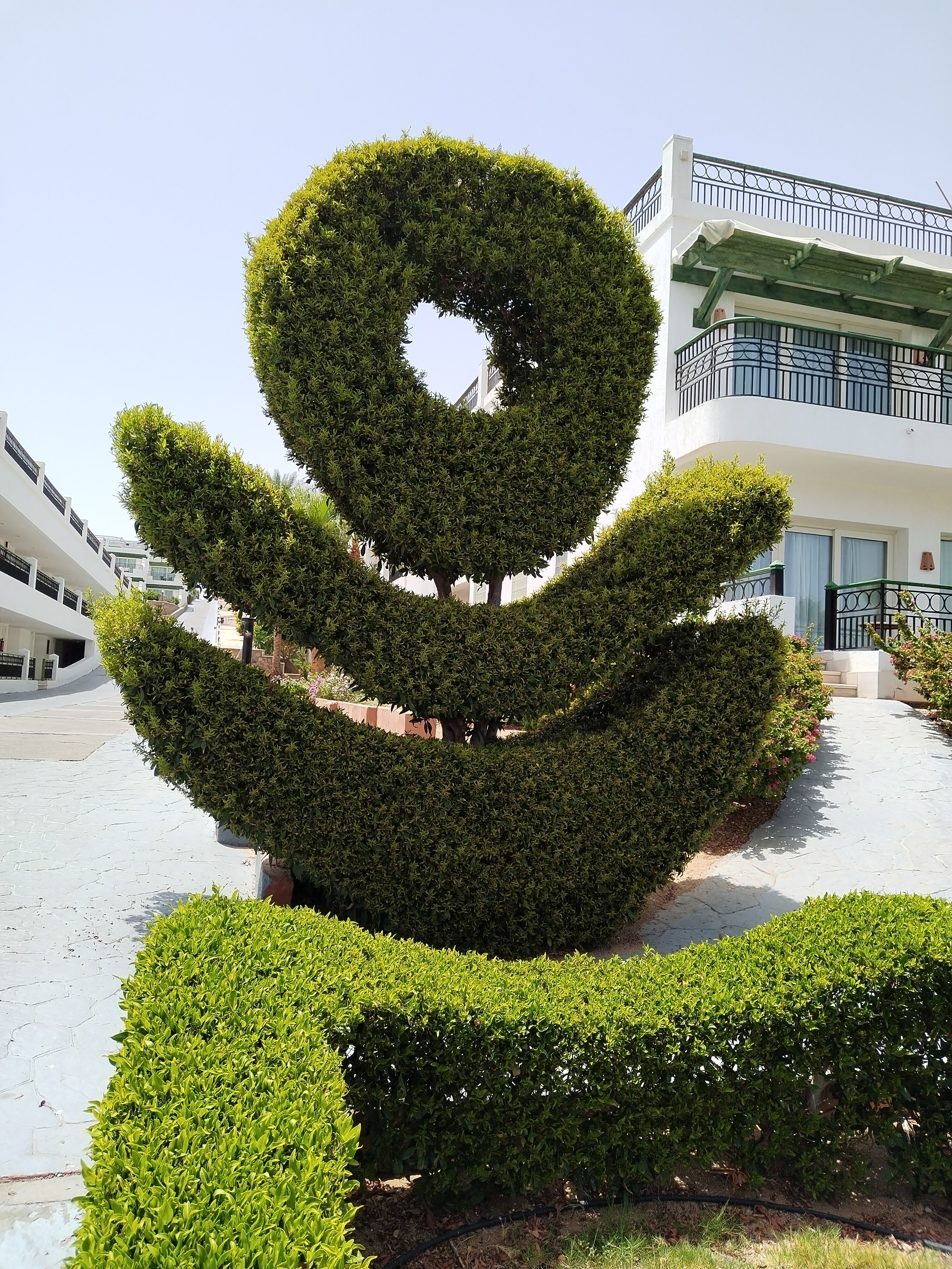 Фото Safir Sharm Waterfalls