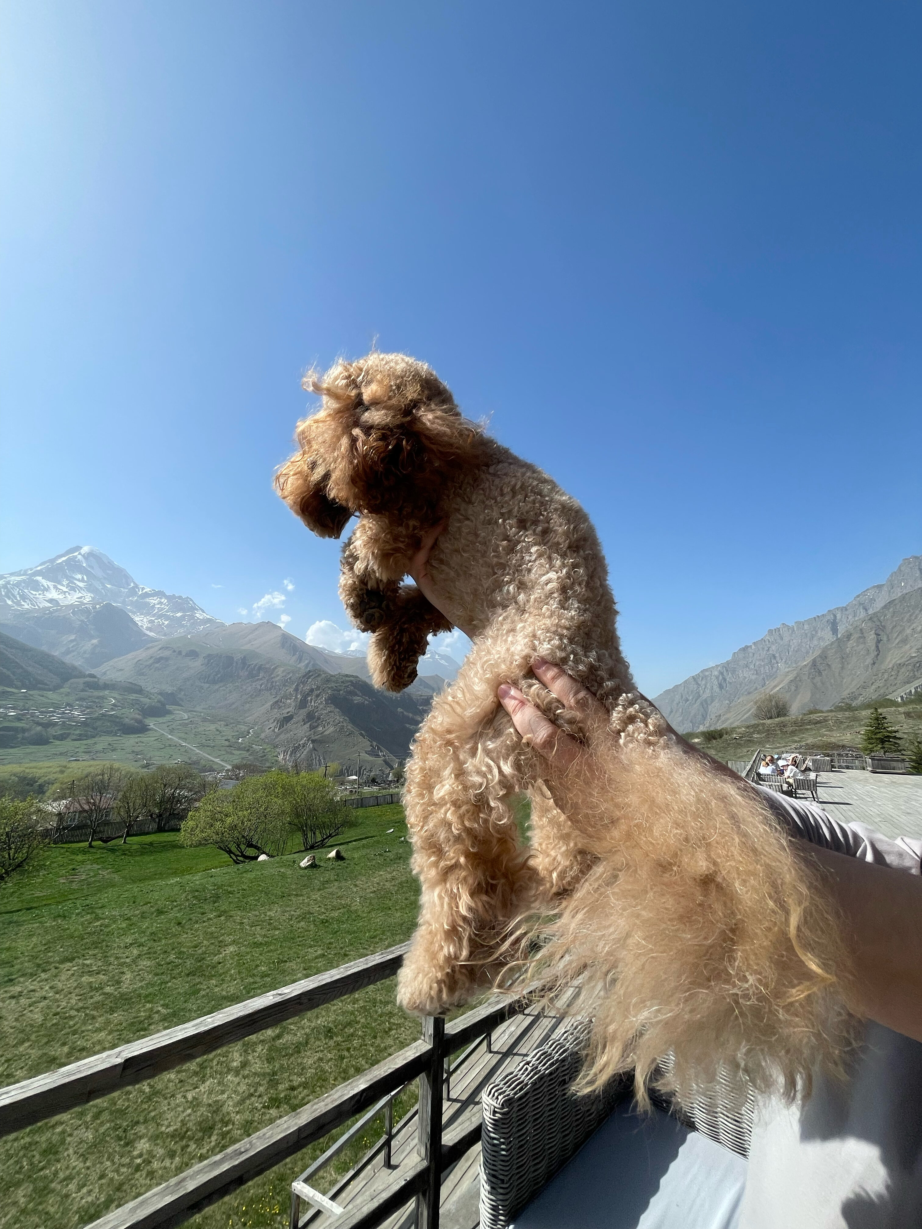 Фото Rooms Hotel Kazbegi
