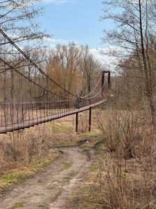 Подвесной мост (Воронежская область, река Девица), достопримечательность в Воронежской области