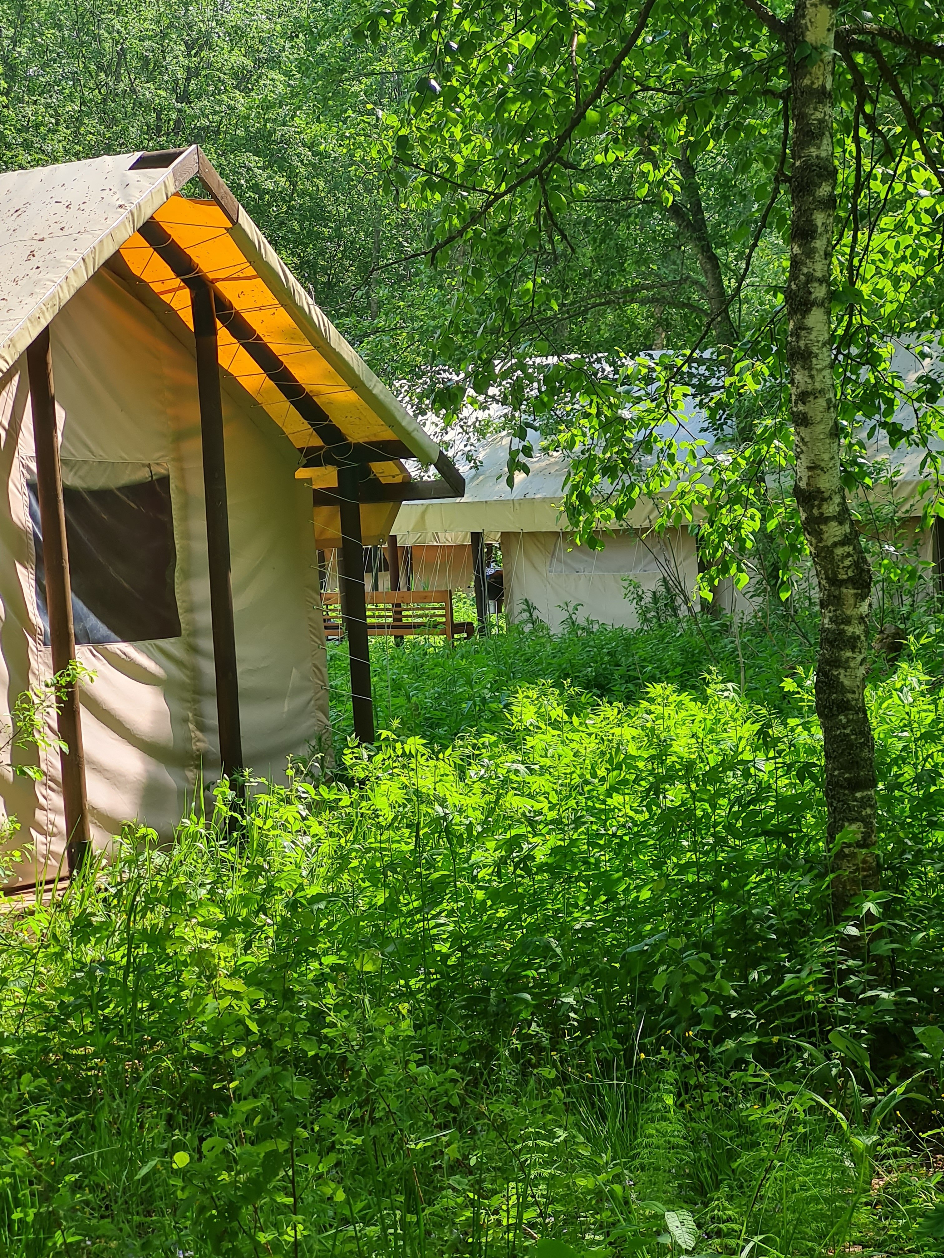 Фото Свобода