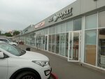 Molmarket (Dovatora Avenue, 59А), grocery