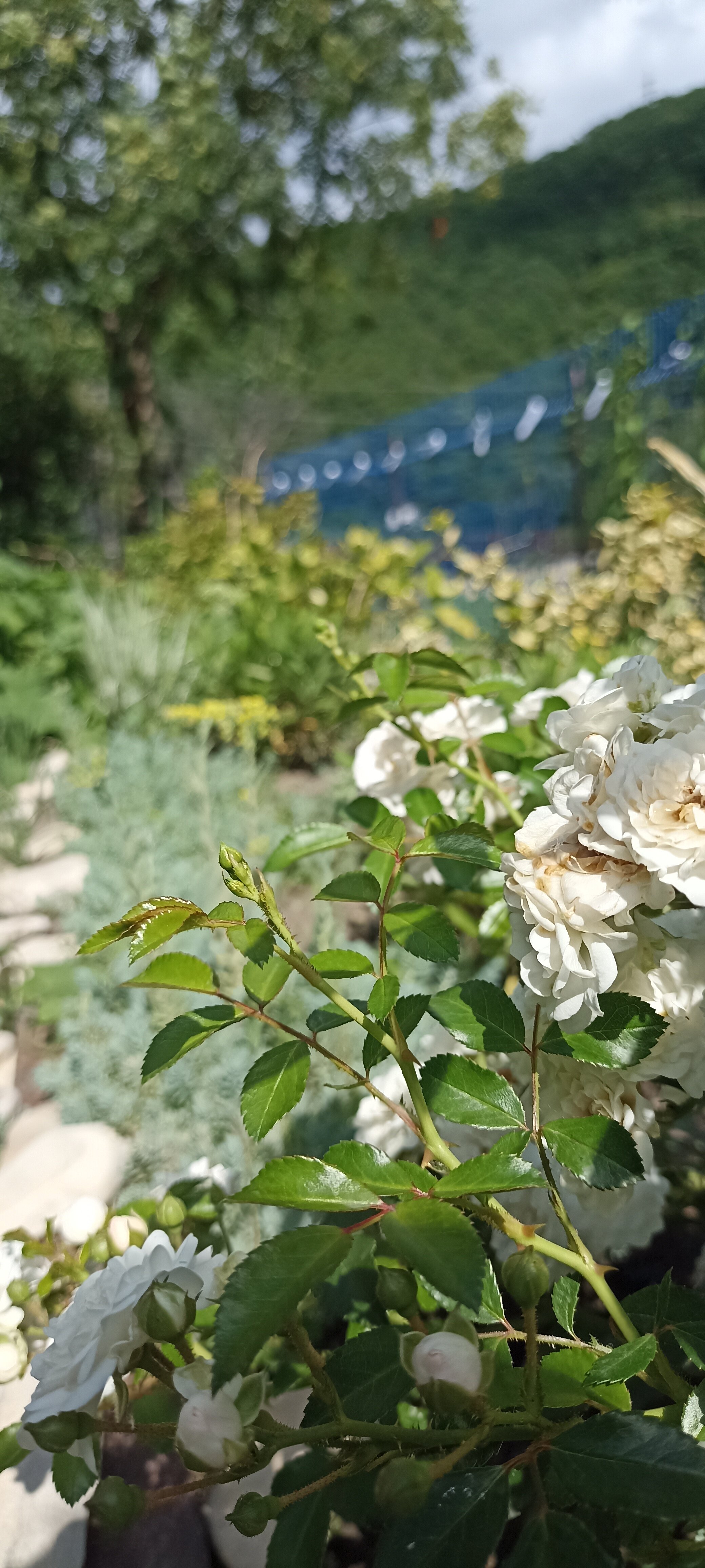 Фото Атлантида