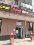 Krasnoe&Beloe (Gotvalda Street, 22) ، محل بقالة