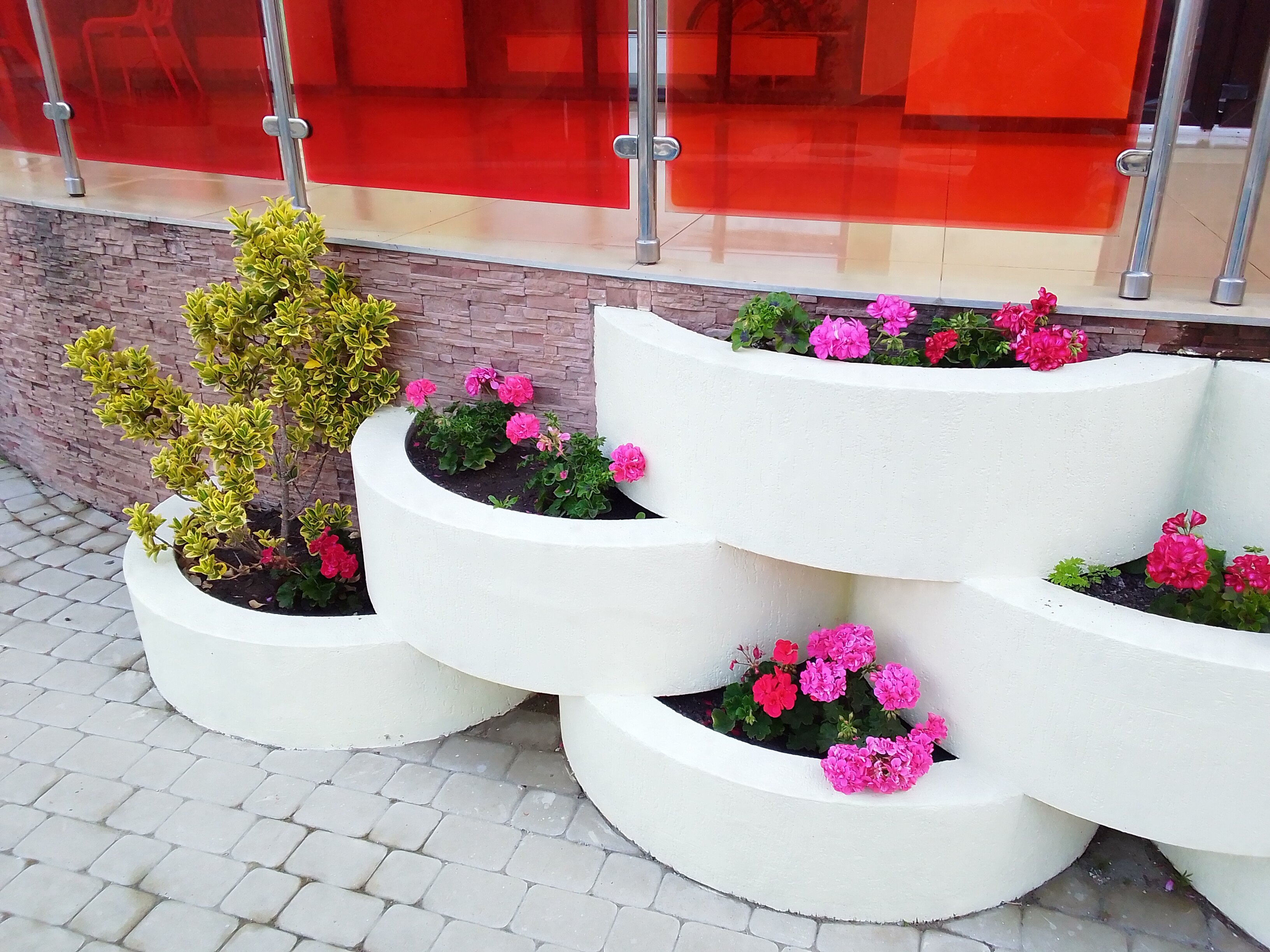 Фото Позитив