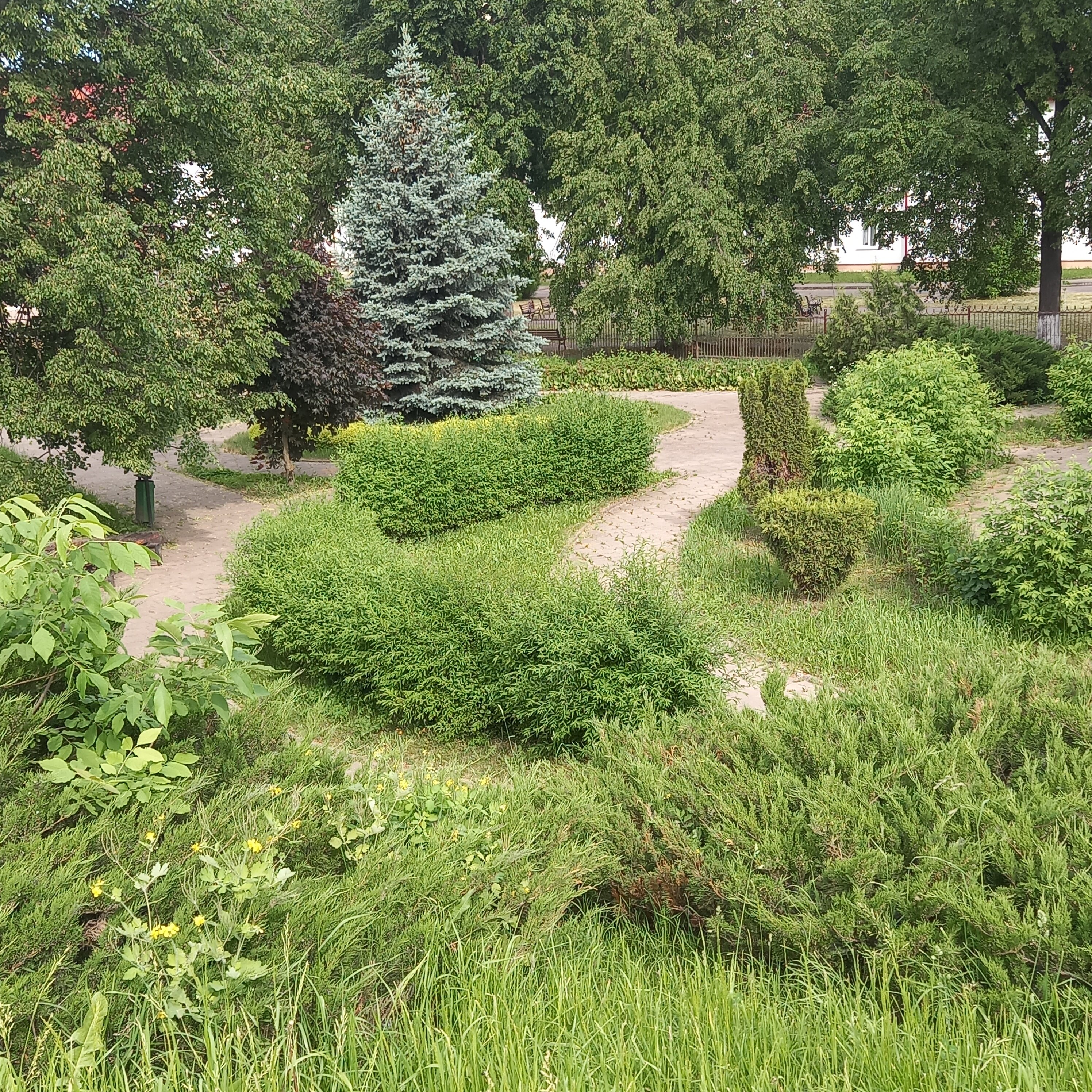 Фото Гостиница Орша