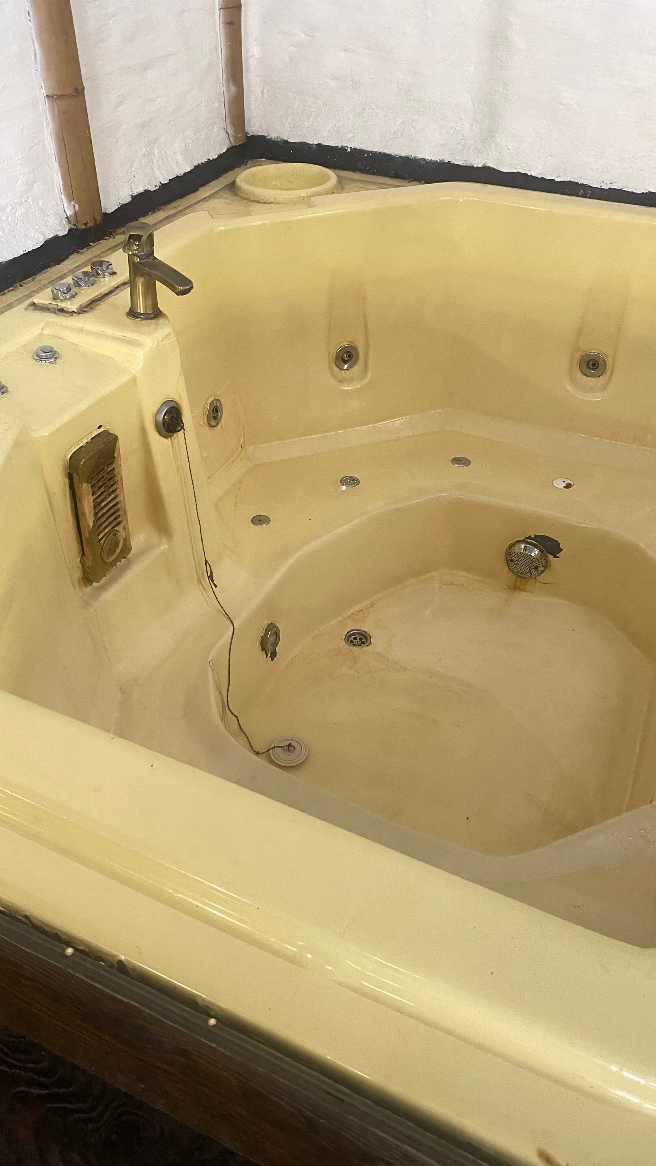 Фото Золотое крыло