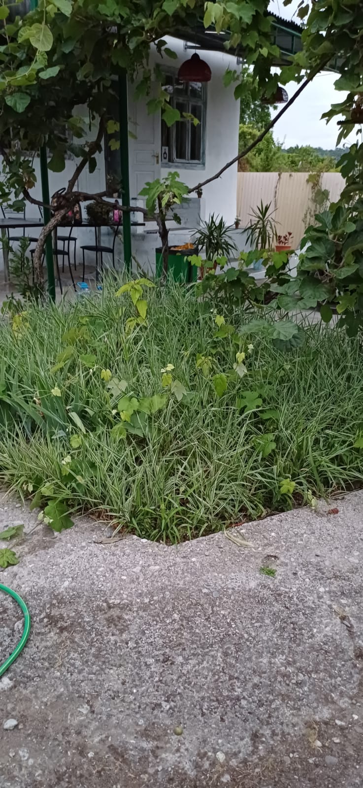 Фото Гостевой Дом Сатен