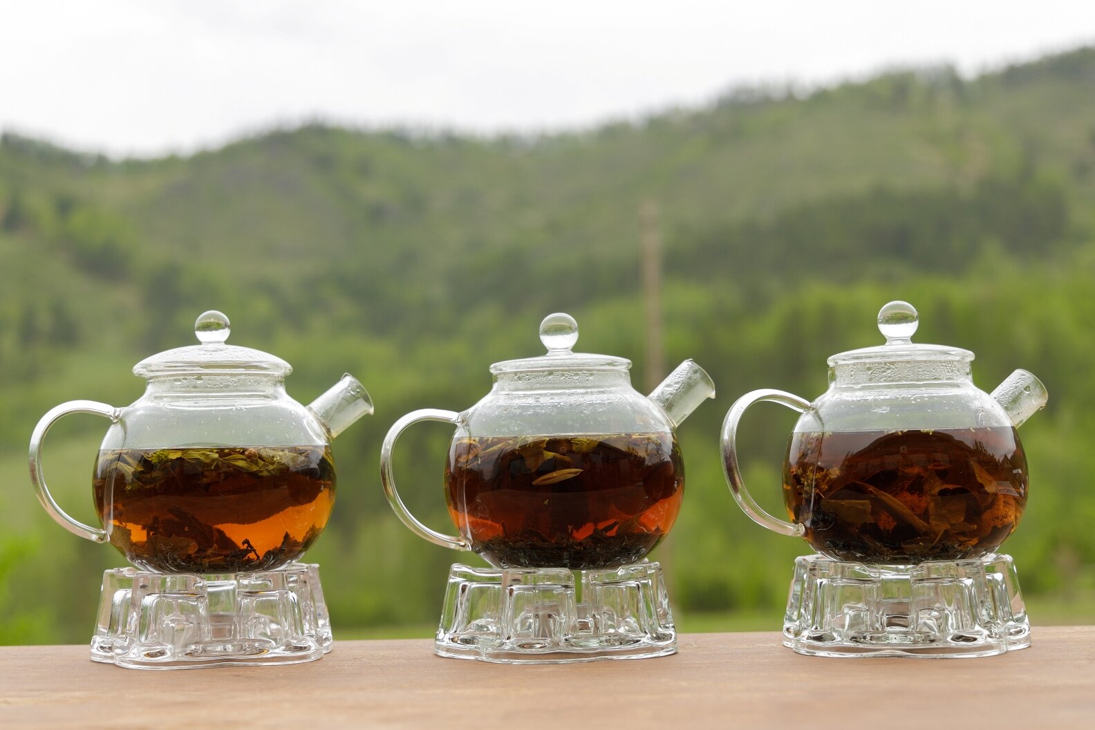 Фото Чайное гнёздышко