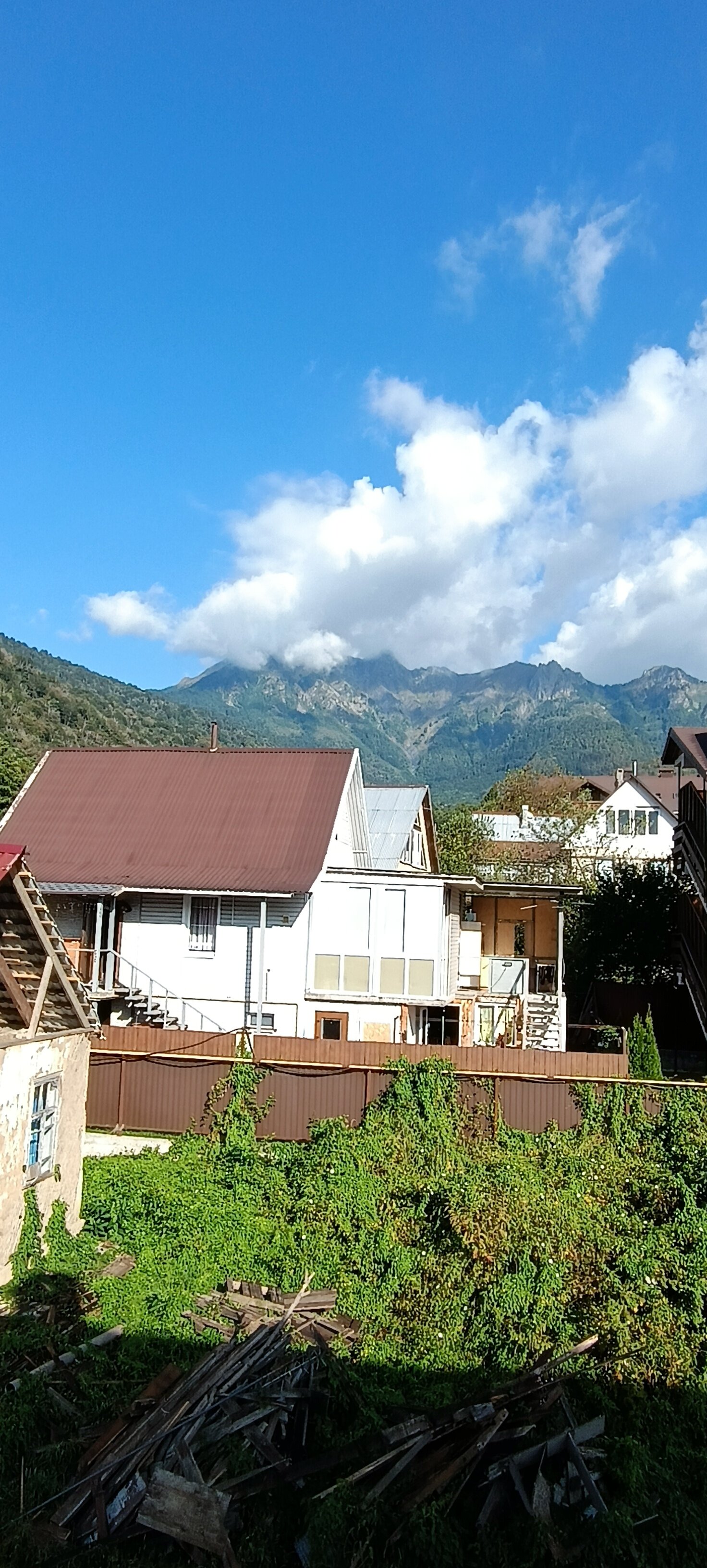 Фото Антонина