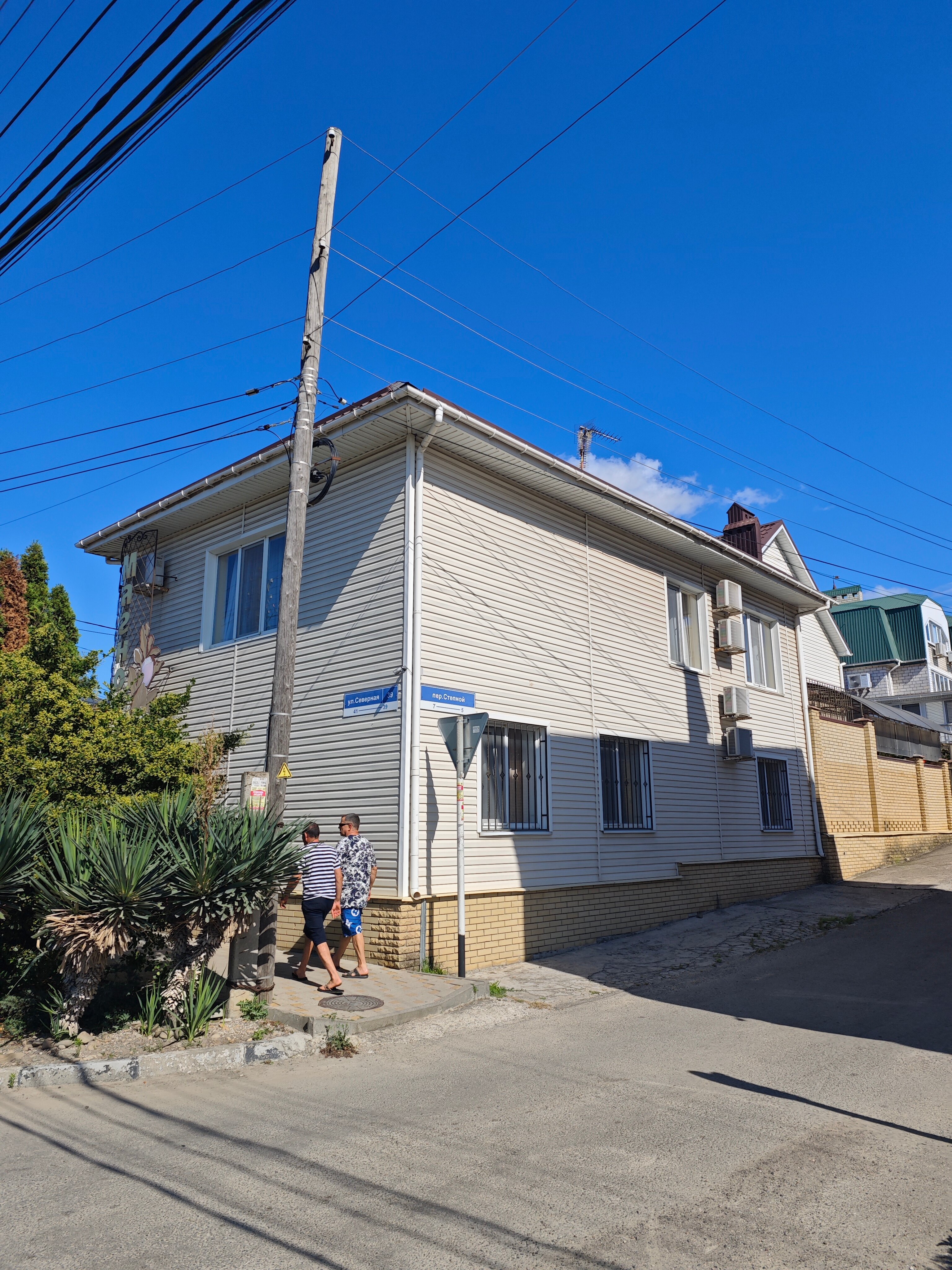 Фото Магнолия