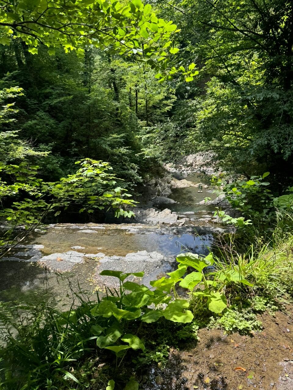 Фото Фазенда Огни Сочи