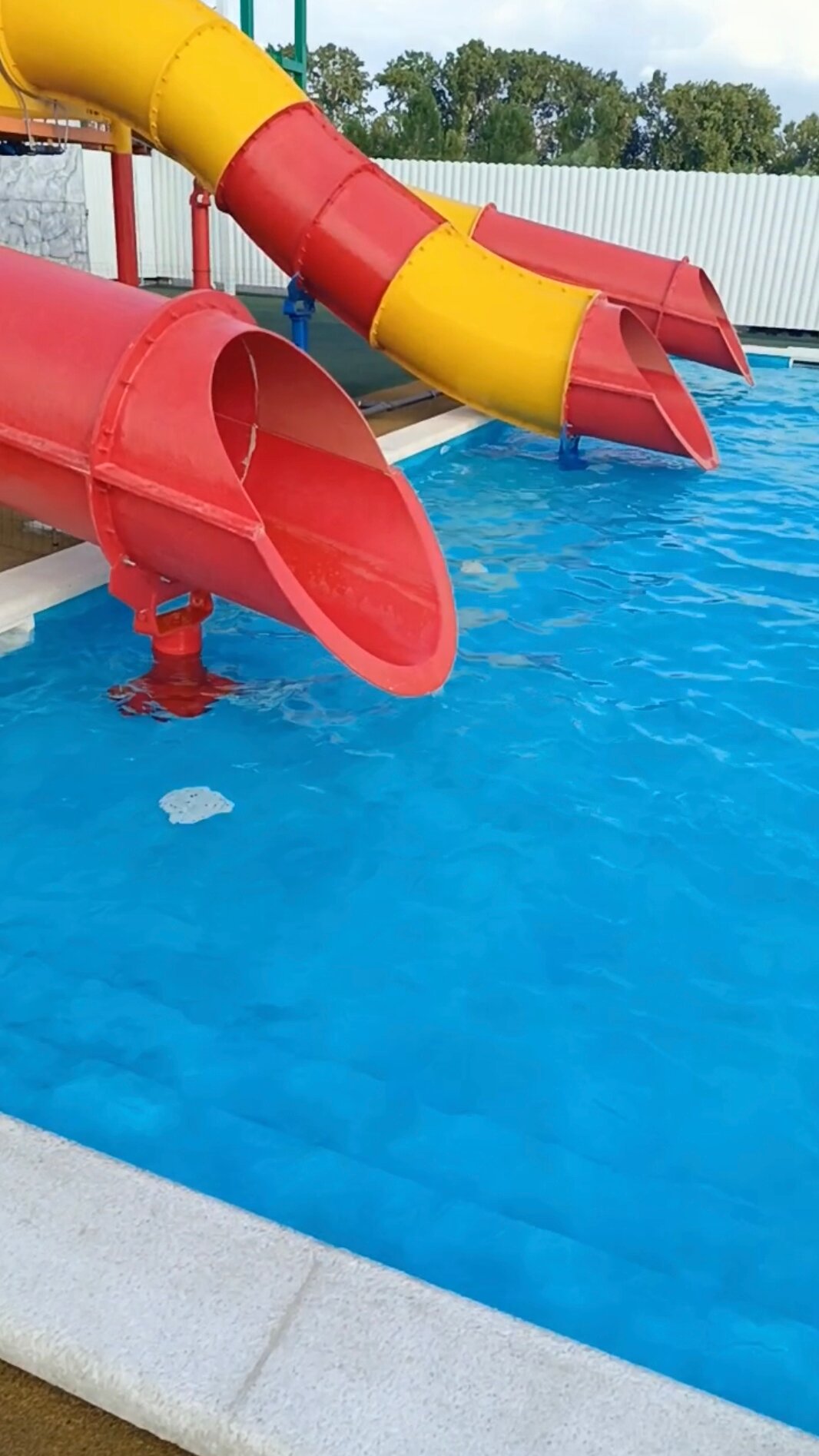 Фото Белый кит