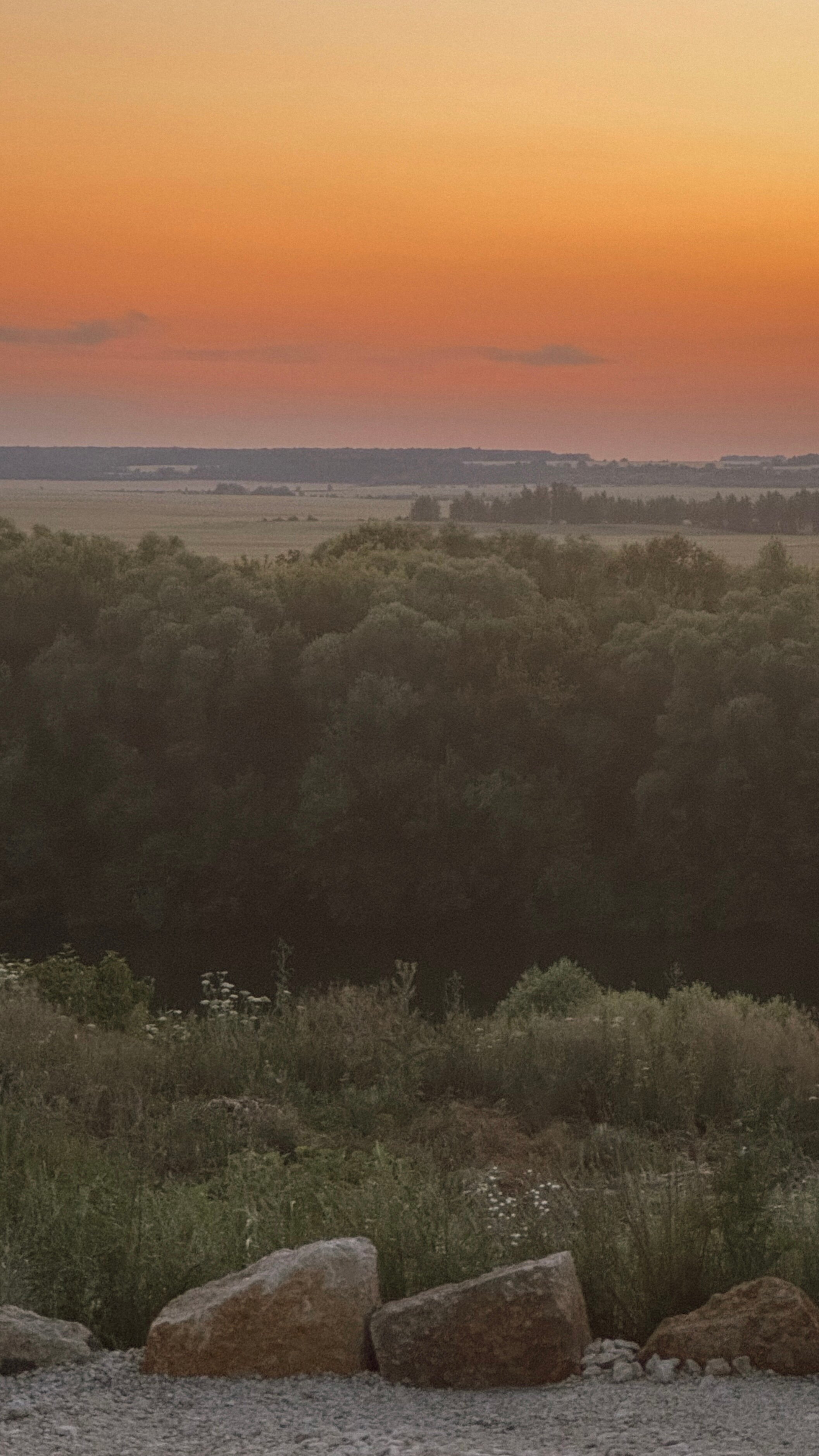 Фото Галки дом