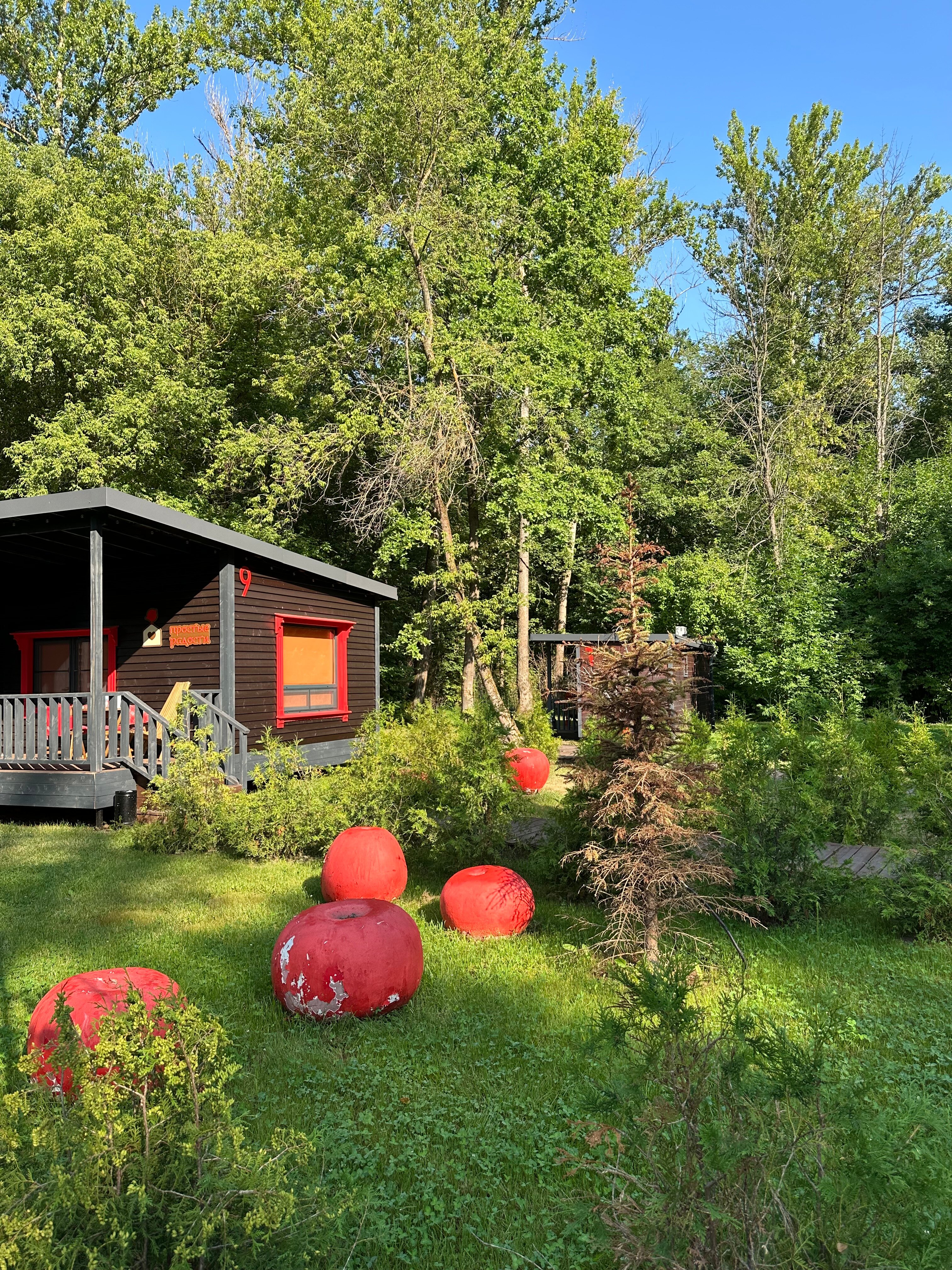 Фото Простые Радости