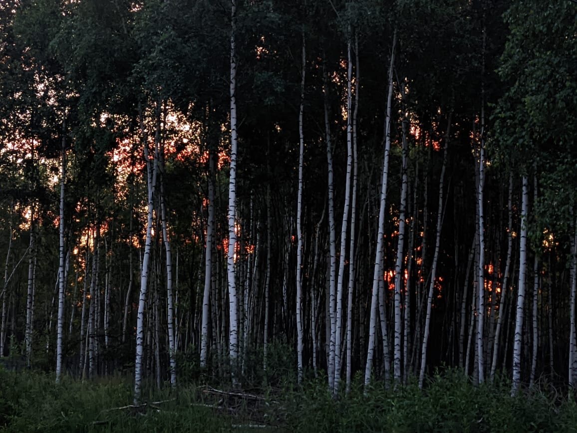 Фото Happy place