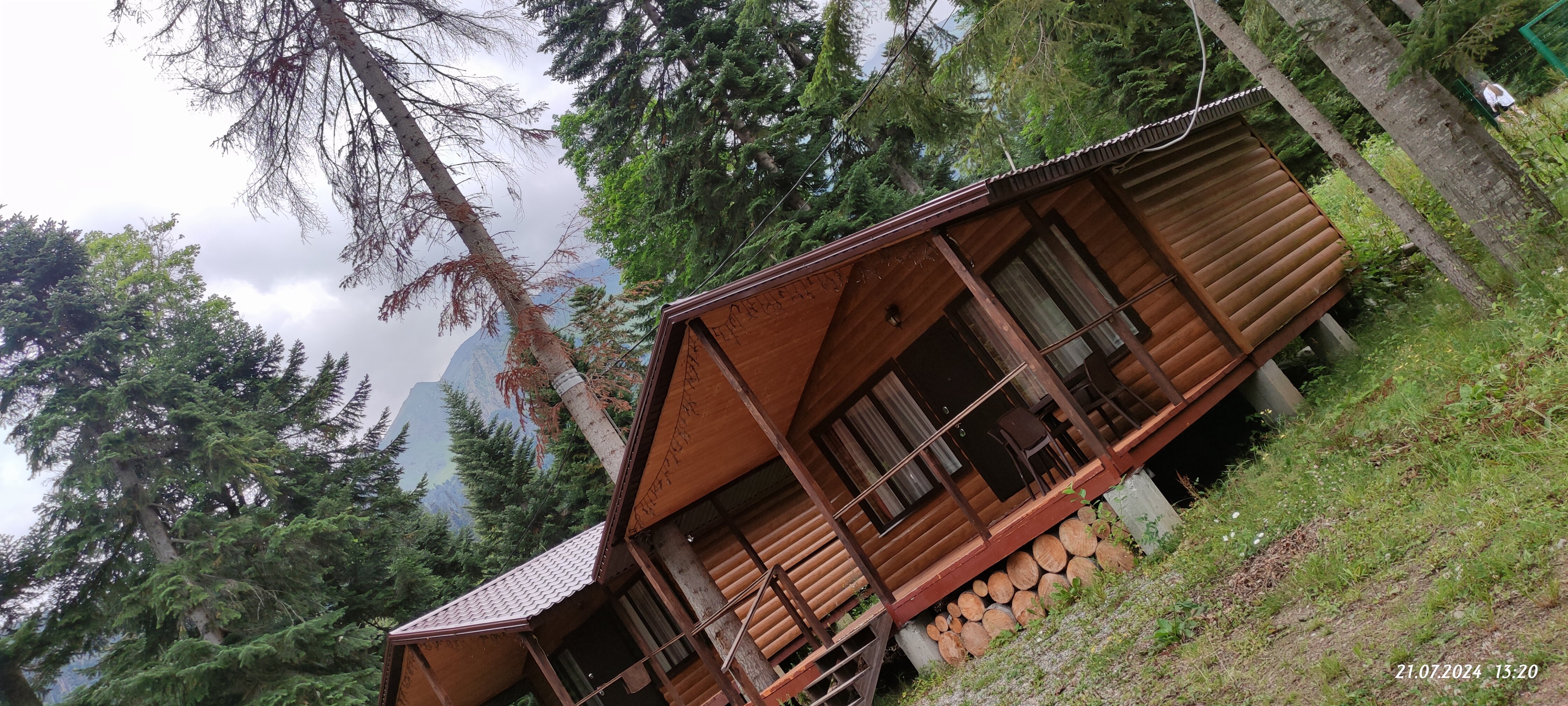 Фото Forest House Resort