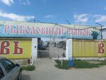 Рыболовный рынок (gorodskoy okrug Volgograd, Dzerzhinskiy City Administrative District) ، سوق