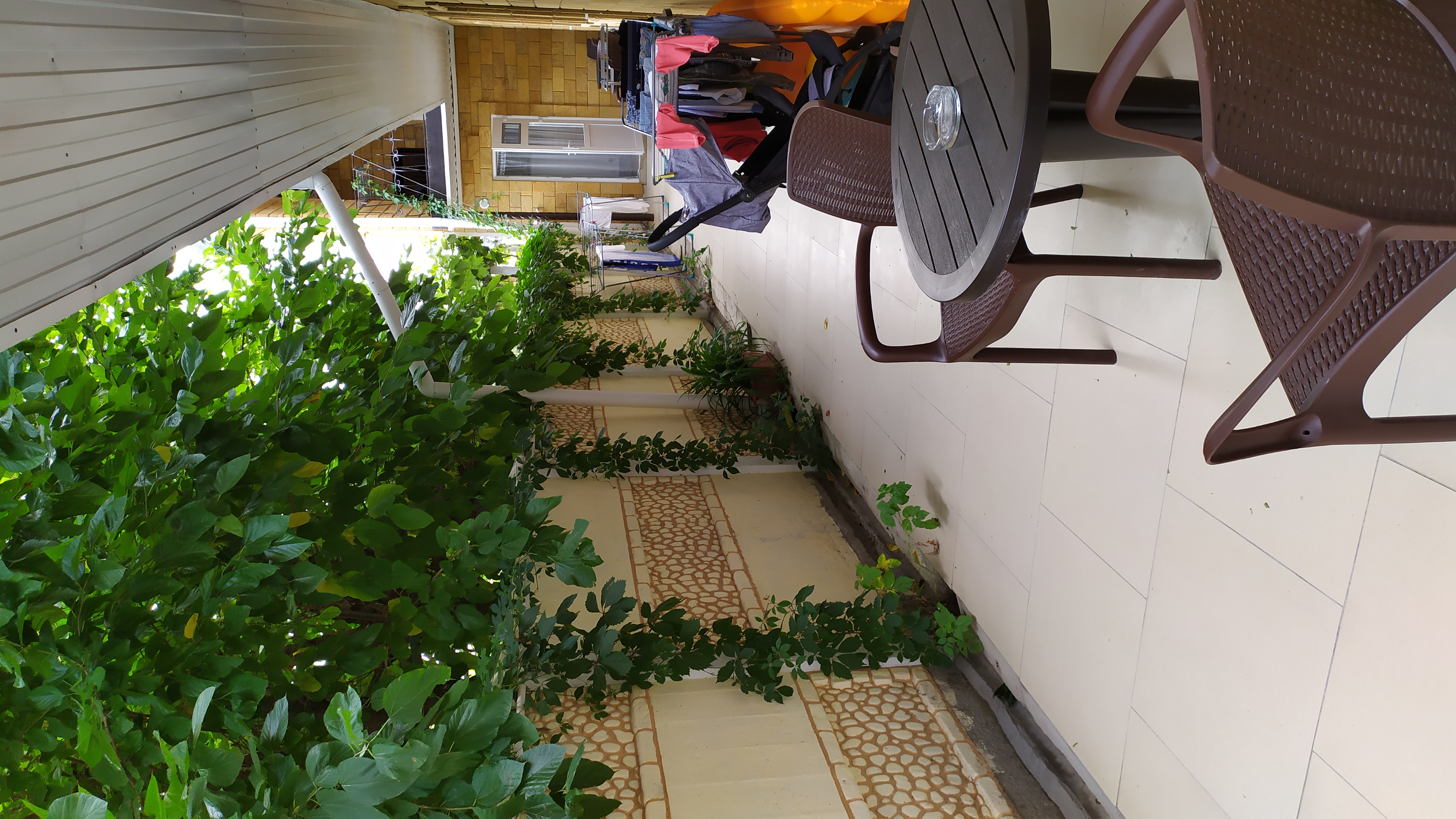 Фото Хельга у моря