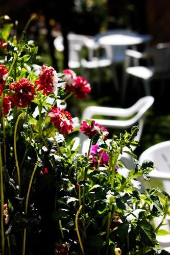 Фото Hotel Rural El Paraiso De Gredos