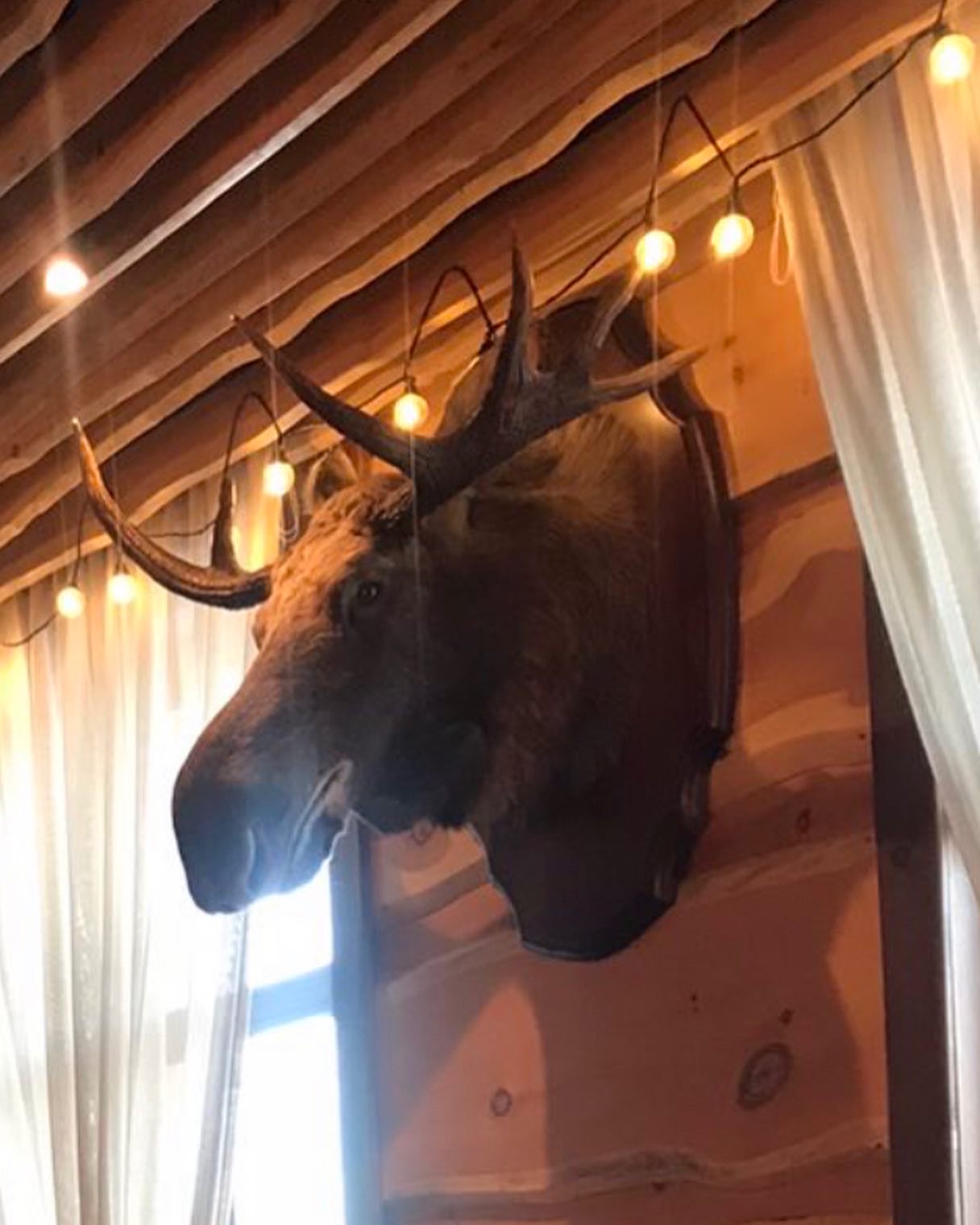 Фото Озерки