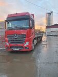 Trans Treid (Saint Petersburg, Ryabovskoe Highway, 120), logistics company