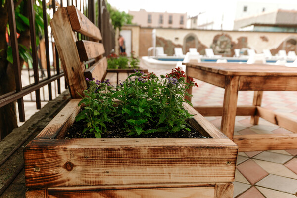 Фото Пантелей