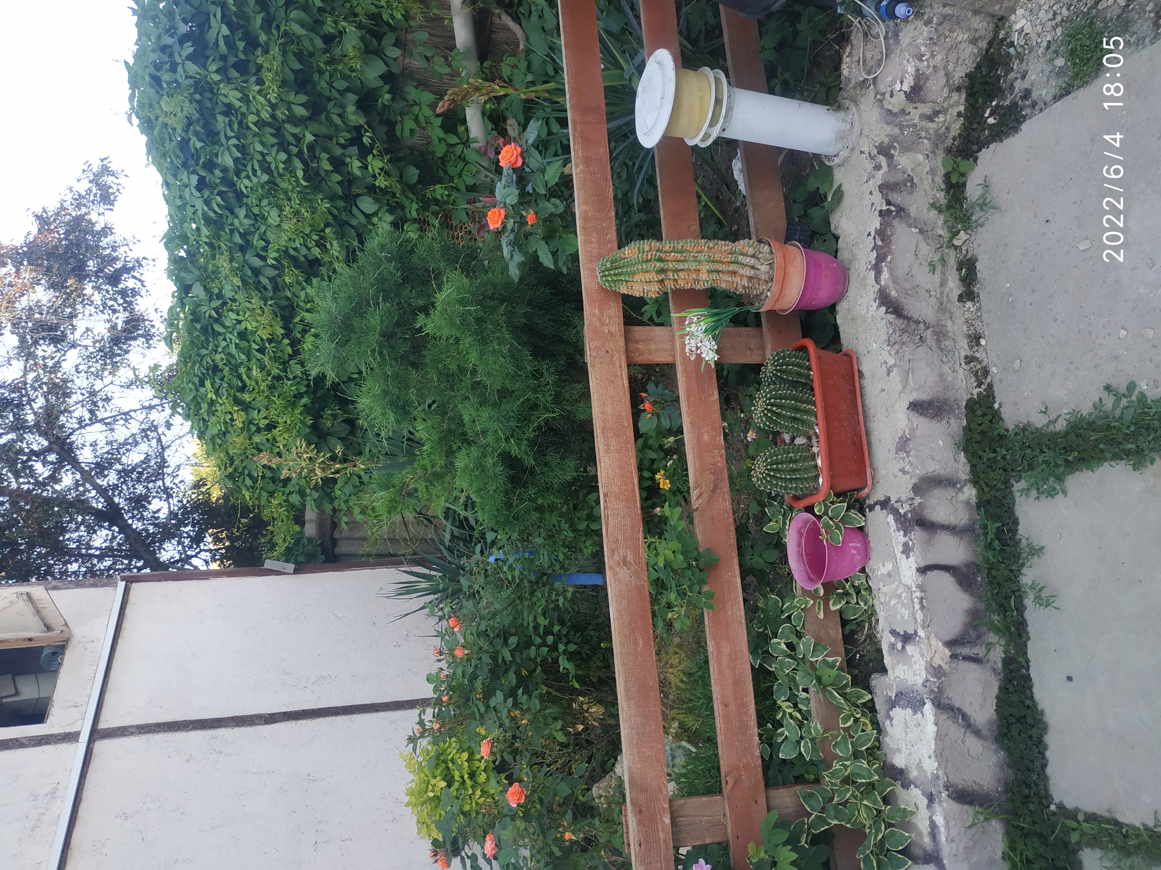 Фото Аннушка