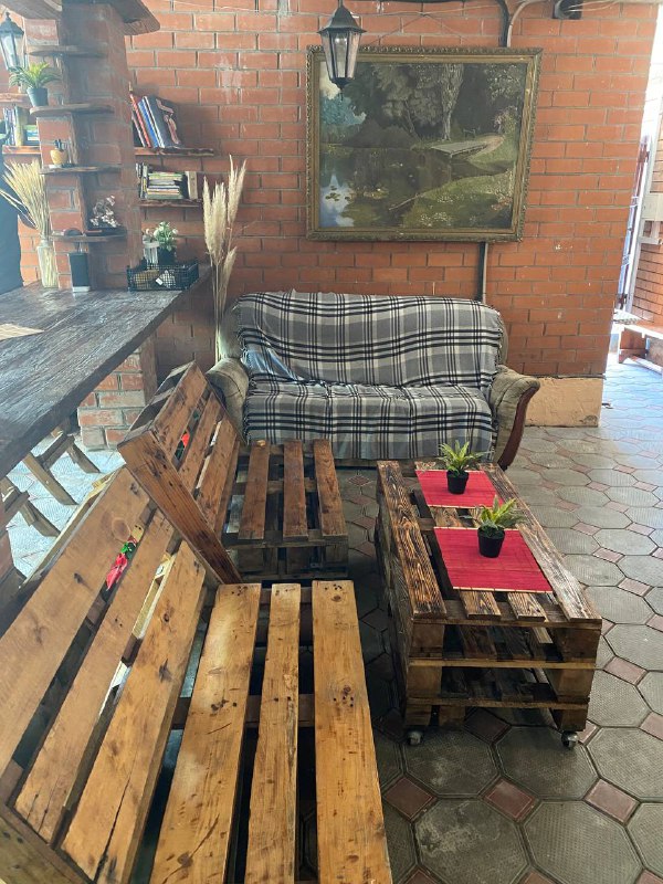 Фото Подсолнух